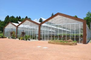 Greenhouse-style store with modular units and vibrant plant arrangements