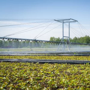 Outdoor irrigation boom watering a large agricultural field with uniform coverage